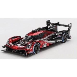 TRUESCALE TSM430820 Acura ARX-06 GTP n°40 Vainqueur 12H Sebring 2024